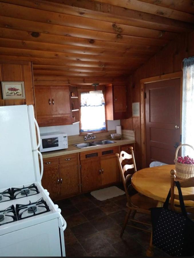 Golden Bear Inc Big Bear Lake Exterior photo